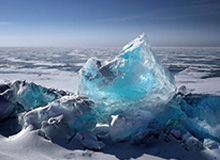 pulse-kaiyun.com-恭喜中国女篮战胜巴西女篮